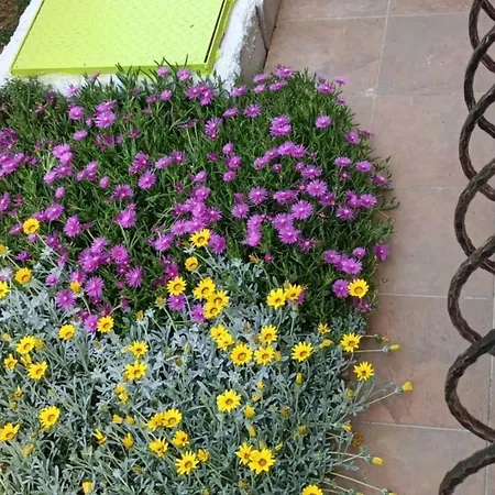 Fiorita For 4 Persons Close The Apartment *