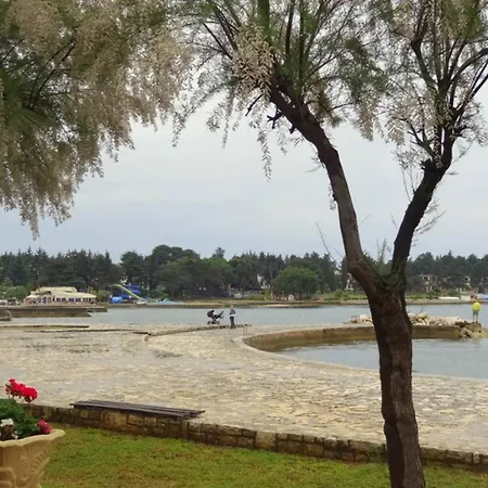 Apartment Fiorita For 4 Persons Close The *